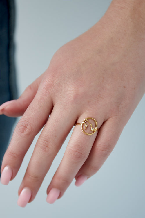 12 Zodiac Rings